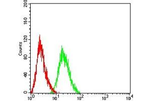 Flow cytometric analysis of HL-60 cells using CD21 mouse mAb (green) and negative control (red).