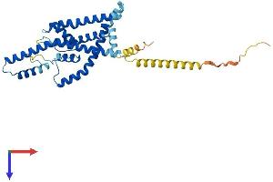 AlphaFold protein structure predicition of Human Recombinant KCNK1 Protein, UniprotID O00180