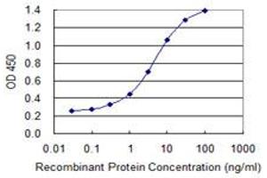 Detection limit for recombinant GST tagged IL1F8 is 0. (FIL1h anticorps  (AA 1-157))