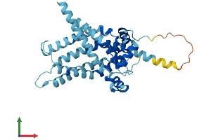 AlphaFold protein structure predicition of Mouse Recombinant Slc25a47 Protein, UniprotID Q6IS41