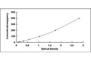 Cysteine-Rich, Angiogenic Inducer, 61 (CYR61) ELISA Kit