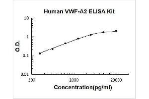 Typical Standard Curve