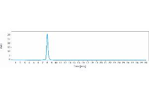 The purity of Anti-TGFb1 Reference Antibody (M7824) is 96.