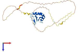 AlphaFold protein structure predicition of Human Recombinant THAP10 Protein, UniprotID Q9P2Z0