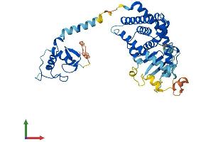 AlphaFold protein structure predicition of Mouse Recombinant Nr1i2 Protein, UniprotID O54915