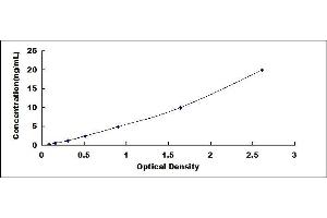 Typical standard curve (PRKG2 Kit ELISA)