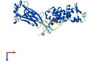 AlphaFold protein structure predicition of Human Recombinant SPOP Protein, UniprotID O43791