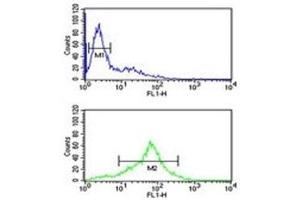 SOD1 antibody flow cytometric analysis of Jurkat cells (green) compared to a negative control (blue).