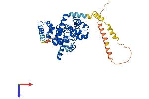 AlphaFold protein structure predicition of Human Recombinant TBC1D20 Protein, UniprotID Q96BZ9