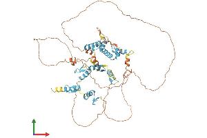 AlphaFold protein structure predicition of Human Recombinant ZNF496 Protein, UniprotID Q96IT1