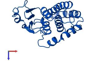 AlphaFold protein structure predicition of Mouse Recombinant Gstm6 Protein, UniprotID O35660