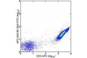 anti-Allophycocyanin (APC) antibody (Biotin)