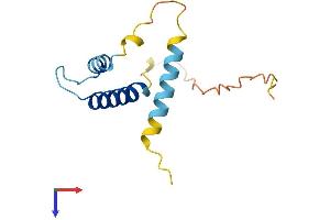 AlphaFold protein structure predicition of Human Recombinant ID3 Protein, UniprotID Q02535