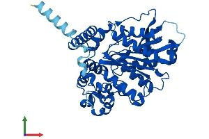AlphaFold protein structure predicition of Mouse Recombinant Aadac Protein, UniprotID Q99PG0