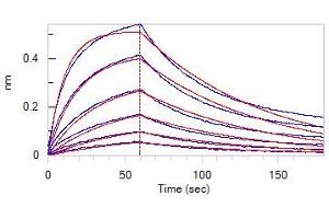 Loaded Human ACE2, Fc Tag (Cat.