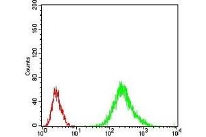 Flow cytometric analysis of Jurkat cells using RANBP9 mouse mAb (green) and negative control (red). (Importin 9 anticorps  (AA 453-680))