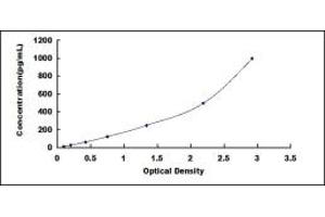 Typical standard curve (CXCL3 Kit ELISA)