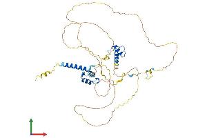 AlphaFold protein structure predicition of Mouse Recombinant Tmpo Protein, UniprotID Q61029
