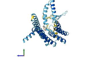 AlphaFold protein structure predicition of Human Recombinant PEX16 Protein, UniprotID Q9Y5Y5
