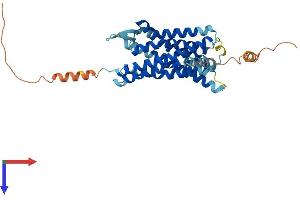 AlphaFold protein structure predicition of Human Recombinant ACKR2 Protein, UniprotID O00590