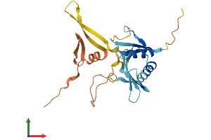 AlphaFold protein structure predicition of Human Recombinant OAZ3 Protein, UniprotID Q9UMX2