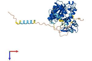 AlphaFold protein structure predicition of Human Recombinant GCNT7 Protein, UniprotID Q6ZNI0