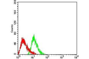 Flow cytometric analysis of HL-60 cells using CD275 mouse mAb (green) and negative control (red).