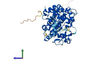 AlphaFold protein structure predicition of Human Recombinant CHST6 Protein, UniprotID Q9GZX3