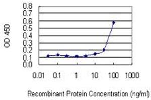 Detection limit for recombinant GST tagged VPS16 is 3 ng/ml as a capture antibody. (VPS16 anticorps  (AA 754-839))