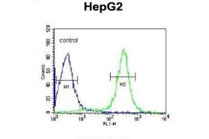 Flow Cytometry (FACS) image for anti-Inter-alpha Globulin Inhibitor H2 Polypeptide (ITIH2) antibody (ABIN3002765) (ITIH2 anticorps)