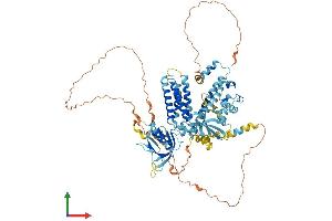 AlphaFold protein structure predicition of Human Recombinant CNKSR1 Protein, UniprotID Q969H4
