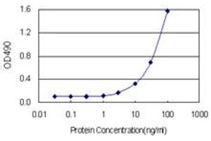 Sandwich ELISA detection sensitivity ranging from 1 ng/mL to 100 ng/mL. (NQO1 (Humain) Matched Antibody Pair)