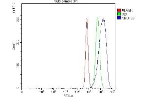 Flow Cytometry analysis of Hela cells using anti-NDUFS8 antibody (ABIN7599086).
