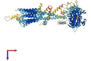 AlphaFold protein structure predicition of Mouse Recombinant Adcy2 Protein, UniprotID Q80TL1