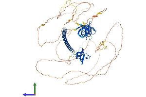 AlphaFold protein structure predicition of Mouse Recombinant Sh3kbp1 Protein, UniprotID Q8R550