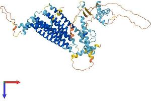 AlphaFold protein structure predicition of Mouse Recombinant Amfr Protein, UniprotID Q9R049