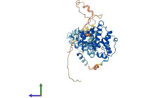 AlphaFold protein structure predicition of Human Recombinant ARHGAP8 Protein, UniprotID P85298
