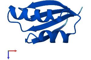 AlphaFold protein structure predicition of Human Recombinant ATOX1 Protein, UniprotID O00244