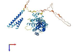 AlphaFold protein structure predicition of Mouse Recombinant Katnal1 Protein, UniprotID Q8K0T4