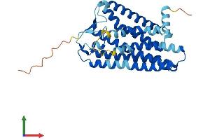 AlphaFold protein structure predicition of Human Recombinant OR3A3 Protein, UniprotID P47888