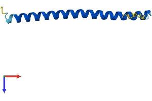 AlphaFold protein structure predicition of Human Recombinant HSBP1 Protein, UniprotID O75506