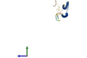 AlphaFold protein structure predicition of Human Recombinant KRT20 Protein, UniprotID P35900
