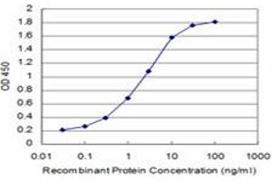 Detection limit for recombinant GST tagged SMG1 is approximately 0. (SMG1 anticorps  (AA 2922-3031))
