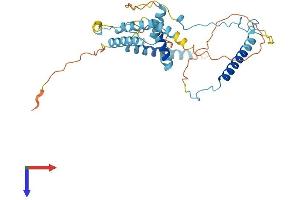 AlphaFold protein structure predicition of Human Recombinant MBIP Protein, UniprotID Q9NS73