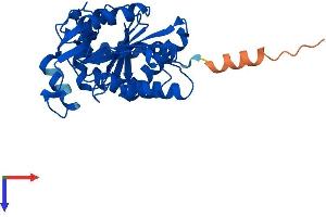 AlphaFold protein structure predicition of Human Recombinant GNPDA1 Protein, UniprotID P46926