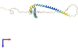 AlphaFold protein structure predicition of Human Recombinant REEP4 Protein, UniprotID Q9H6H4