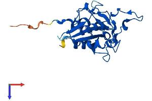 AlphaFold protein structure predicition of Human Recombinant NTAQ1 Protein, UniprotID Q96HA8