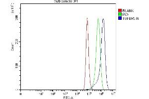 Flow Cytometry analysis of Hela cells using anti-TGF Beta Receptor III/TGFBR3 antibody (ABIN7601517).