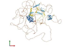 AlphaFold protein structure predicition of Human Recombinant MIS18BP1 Protein, UniprotID Q6P0N0