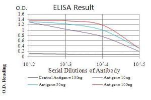 Black line: Control Antigen (100 ng), Purple line: Antigen(10 ng), Blue line: Antigen (50 ng), Red line: Antigen (100 ng),